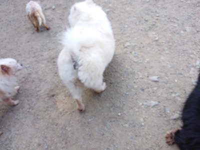 f:id:roukenhome-ann:20190517154141j:plain