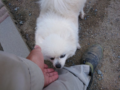 f:id:roukenhome-ann:20190517154208j:plain