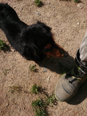 f:id:roukenhome-ann:20190517154229j:plain