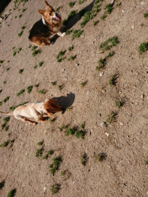 f:id:roukenhome-ann:20190517154243j:plain