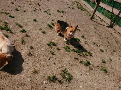 f:id:roukenhome-ann:20190517154250j:plain