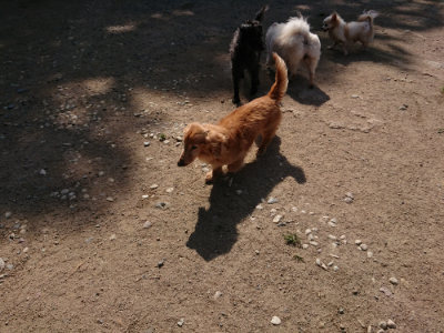 f:id:roukenhome-ann:20190517154306j:plain