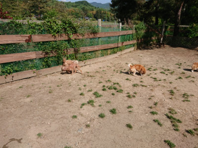 f:id:roukenhome-ann:20190517170651j:plain