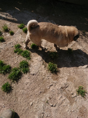 f:id:roukenhome-ann:20190517170719j:plain