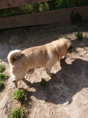 f:id:roukenhome-ann:20190517170724j:plain