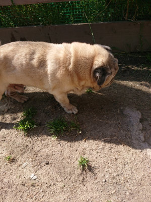 f:id:roukenhome-ann:20190517170740j:plain