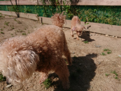 f:id:roukenhome-ann:20190517170814j:plain