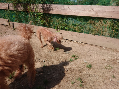 f:id:roukenhome-ann:20190517170824j:plain