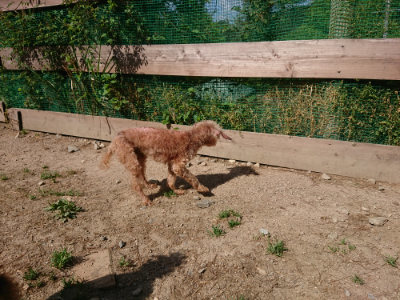 f:id:roukenhome-ann:20190517170839j:plain