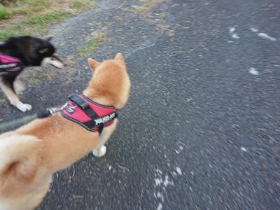 f:id:roukenhome-ann:20190517170845j:plain