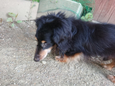 f:id:roukenhome-ann:20190517170924j:plain