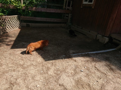 f:id:roukenhome-ann:20190517170935j:plain