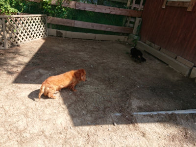 f:id:roukenhome-ann:20190517170944j:plain