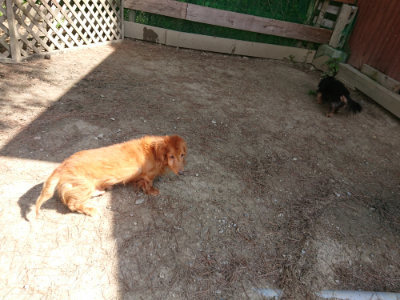 f:id:roukenhome-ann:20190517171004j:plain