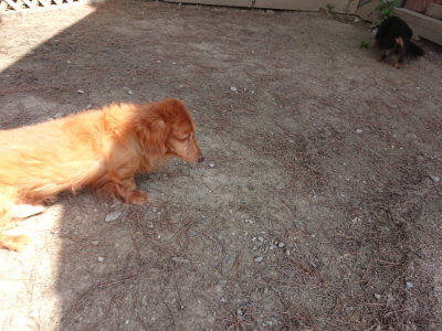 f:id:roukenhome-ann:20190517171010j:plain