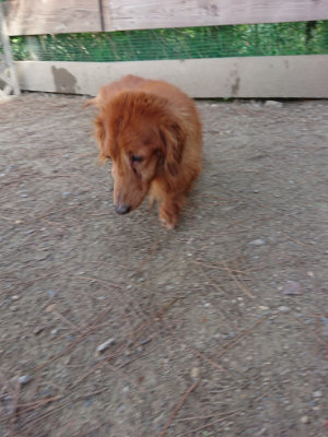 f:id:roukenhome-ann:20190517171031j:plain