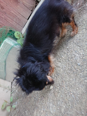 f:id:roukenhome-ann:20190517171052j:plain