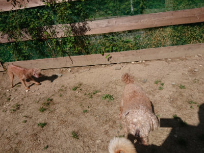 f:id:roukenhome-ann:20190517171058j:plain
