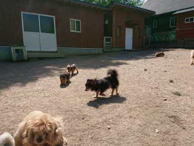 f:id:roukenhome-ann:20190517171109j:plain