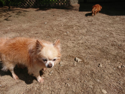 f:id:roukenhome-ann:20190517171130j:plain