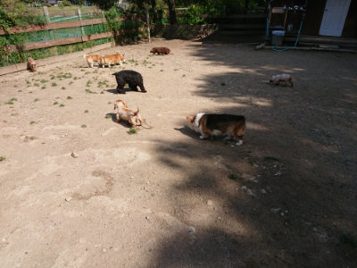 f:id:roukenhome-ann:20190517171140j:plain