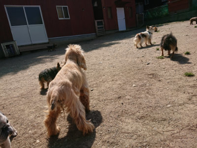 f:id:roukenhome-ann:20190517171149j:plain