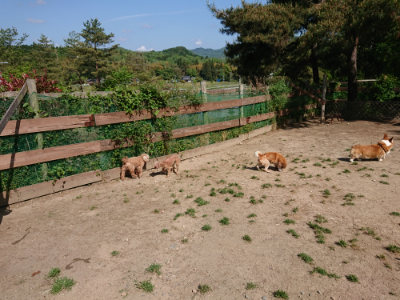 f:id:roukenhome-ann:20190517171153j:plain