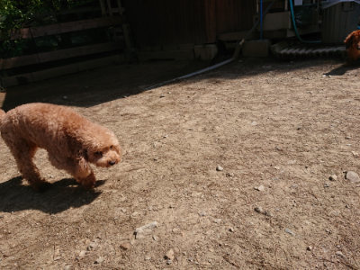 f:id:roukenhome-ann:20190517171207j:plain