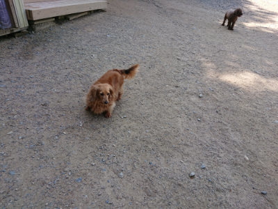 f:id:roukenhome-ann:20190517172143j:plain