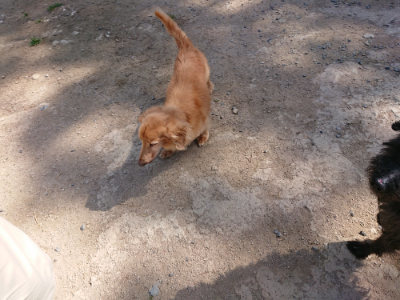 f:id:roukenhome-ann:20190517172148j:plain