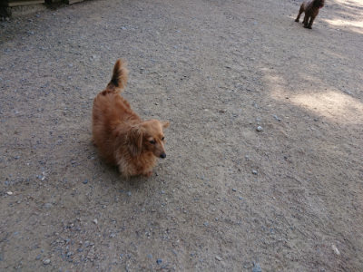 f:id:roukenhome-ann:20190517172159j:plain