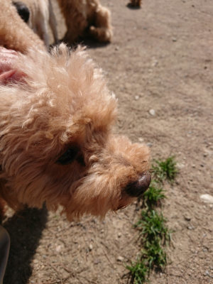 f:id:roukenhome-ann:20190517172209j:plain