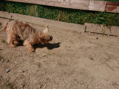 f:id:roukenhome-ann:20190517172239j:plain