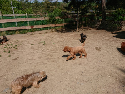 f:id:roukenhome-ann:20190517172246j:plain