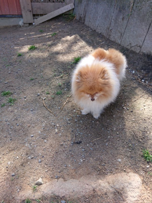 f:id:roukenhome-ann:20190517172253j:plain