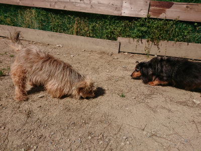 f:id:roukenhome-ann:20190517172259j:plain
