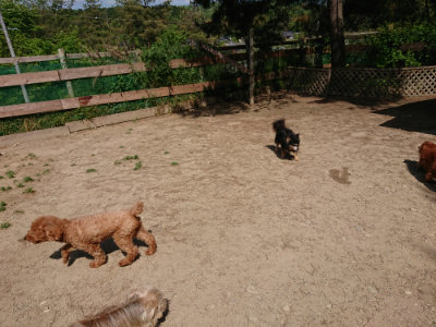 f:id:roukenhome-ann:20190517172304j:plain