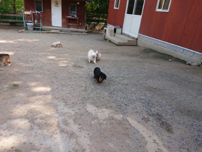 f:id:roukenhome-ann:20190517172310j:plain