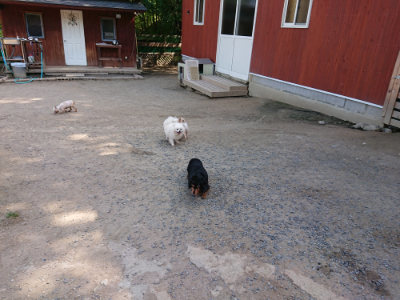 f:id:roukenhome-ann:20190517172316j:plain
