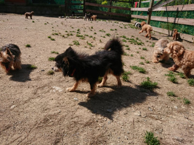 f:id:roukenhome-ann:20190517172329j:plain