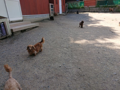 f:id:roukenhome-ann:20190517172334j:plain