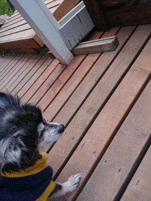f:id:roukenhome-ann:20190518082426j:plain