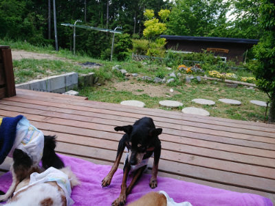 f:id:roukenhome-ann:20190518082446j:plain