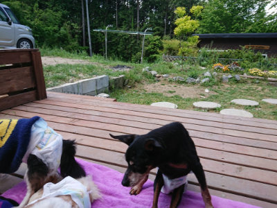 f:id:roukenhome-ann:20190518082453j:plain