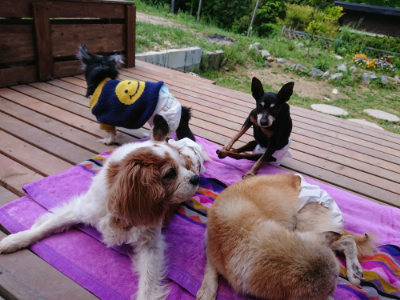 f:id:roukenhome-ann:20190518082529j:plain
