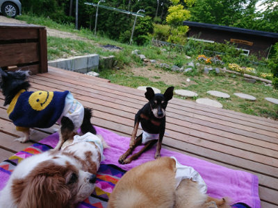 f:id:roukenhome-ann:20190518082533j:plain