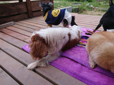 f:id:roukenhome-ann:20190518082608j:plain