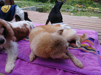 f:id:roukenhome-ann:20190518082612j:plain