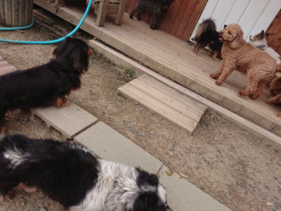 f:id:roukenhome-ann:20190519052237j:plain