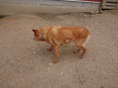 f:id:roukenhome-ann:20190519052247j:plain